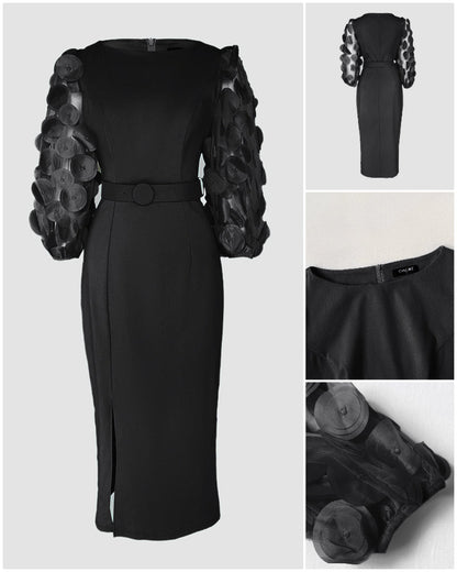 Robe de travail à manches lanternes en résille avec appliqués à pois 3D, fermeture zip au dos et fente, taille cintrée, coupe ajustée, longueur mi-longue avec ceinture